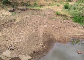 Estiagem provoca prejuízo superior a R$ 5 milhões em Marcelino Ramos, diz Defesa Civil