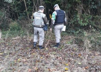 Cachorro é encontrado enforcado no interior de Gaurama