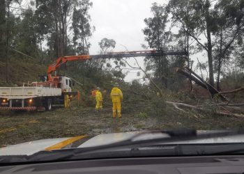 Rodovia entre Erechim e Getúlio Vargas fica interditada por várias horas em razão de queda de árvores