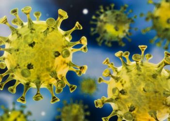 Erechim: 33 novos casos de coronavírus em 24h