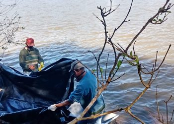 Corpo encontrado na linha Água Verde é de uma mulher.