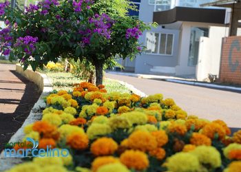 Projeto de embelezamento da ASCOBOL muda a cara da avenida Beira Rio nas Termas de Marcelino Ramos