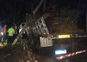 Caminhão desgovernado, carregado de bebidas, colide contra árvores no centro de Viadutos