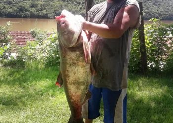 Gigante do lago: Marcelinense pesca carpa de quase 40 quilos próximo da ponte