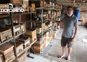 Conheça o marcelinense que é um dos maiores criadores de abelhas sem ferrão da região