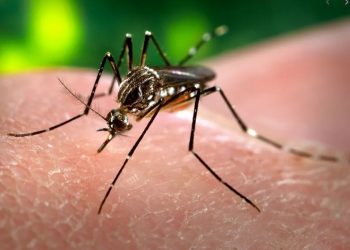 Marcelino Ramos investiga três casos de Dengue