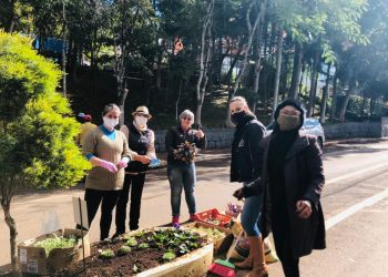 ASCOBOL realiza mutirão para revitalização dos canteiros de flores da avenida nas Termas de Marcelino
