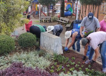 Projeto Embeleza Marcelino faz o plantio de mais de 1.500 mudas em abril